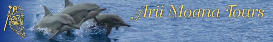 Ariimoana Tours