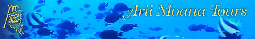 Ariimoana Tours