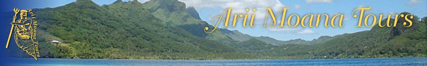 Ariimoana Tours