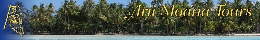 Ariimoana Tours